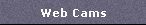 Web Cams