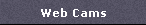 Web Cams